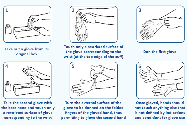 Proper steps to wear disposable examination gloves.