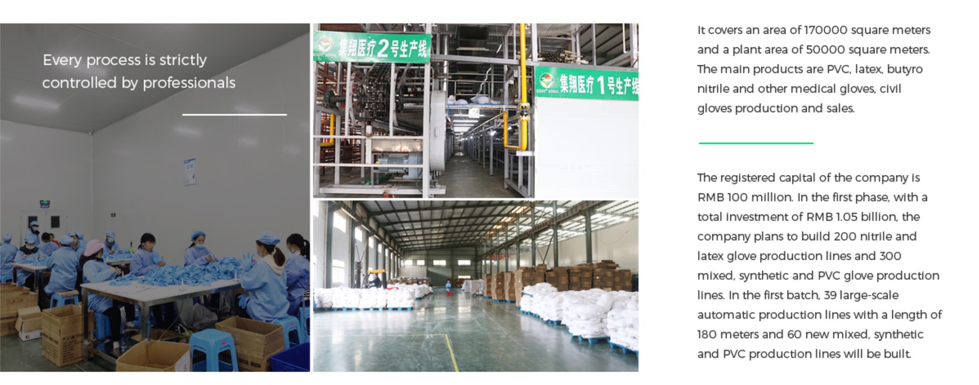 The Disposable Gloves Industry: A Technological Revolution Shaping B2B Procurement